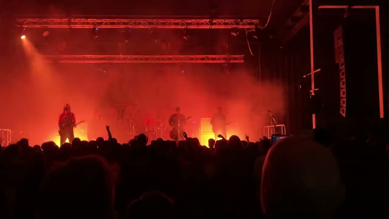 Alpha Wolf - Restricted (R18+) (The Station, Birtinya)