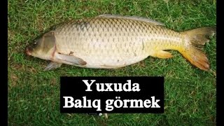 Yuxuda baliq görmek