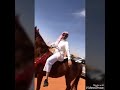مسيره عنزه العرفا الخيال عبدالعزيز عبيد صفوق الحقباوي مسيره عنزه العرفا الخيال عبدالعزيز عبيد صفوق الحقباوي