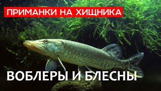 Приманки на хищника: воблеры, blue fox, kastmaster