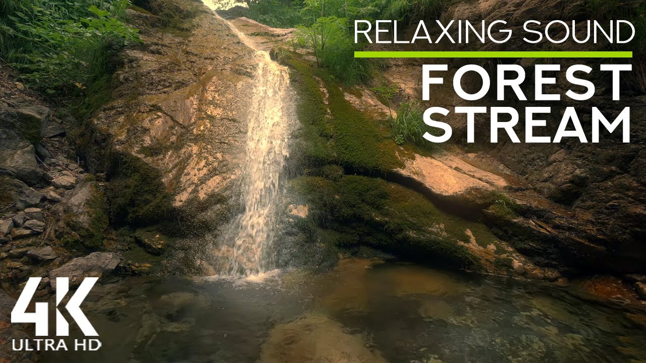8 HOURS Relaxing Sounds of a Dreamy Forest Stream and Birds Songs for Concentration  Work and Study