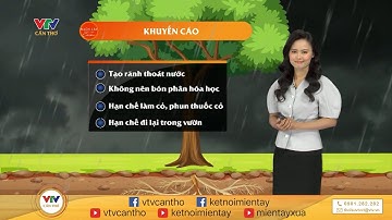 Thời tiết nông vụ 13/9/2023 | VTV CẦN THƠ