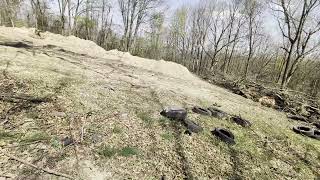 2.2 AC in Paw Paw WV with Well, Septic, & FixerUpper Garage