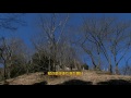 多摩森林科学園　春待つ　　2017・1・18    (4K) の動画、YouTube動画。