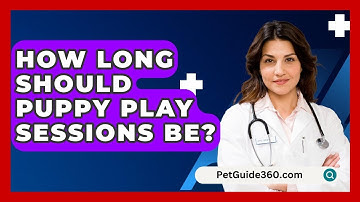 How Long Should Puppy Play Sessions Be? - PetGuide360.com