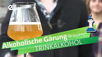 Wie erfolgt die alkoholische Gärung?