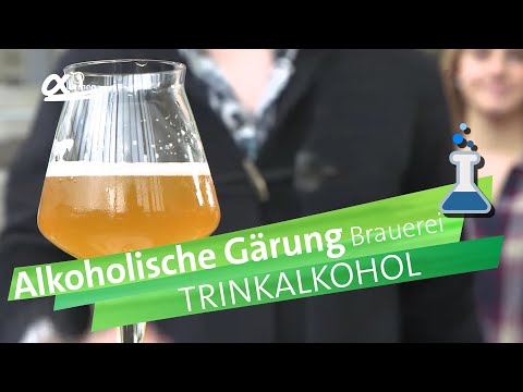 Video: Welcher der folgenden ist der Prozess zur Herstellung von Alkohol aus Stärke?