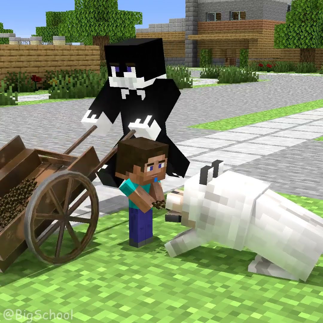 The kind boy Steve and the poor dog ?