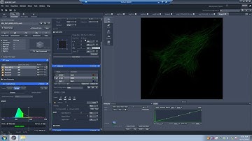 Using a Zeiss Confocal, part 4