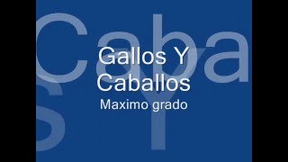 Gallos Y Caballos maximo grado