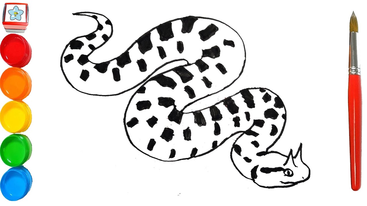 Vẽ Con Vật #247: Vẽ Rắn Sừng Sa Mạc | How To Draw A Desert Horned Viper -  Youtube