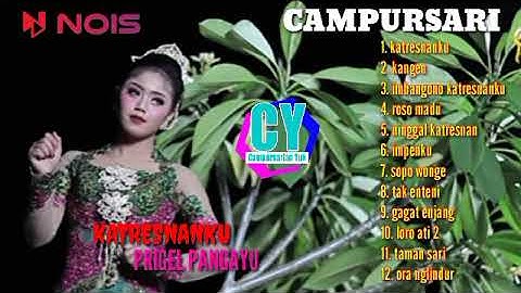 KATRESNANKU - PRIGEL PANGAYU | LANGGAM CAMPURSARI KRATON DIGITAL TERBARU 2023 #langgamjawacampursari