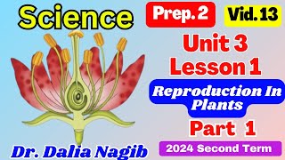 Science  Prep 2 Unit 3 lesson 1 Reproduction In Plants  Part 1  ساينس تانية اعدادي ترم ثاني