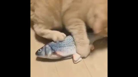 Interactive Pets fish Catnip Toys Simulation Plush Fish Shape Chew Cat Toy