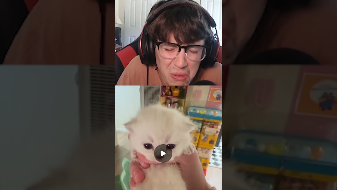 look at this kitty!!