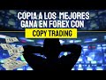 Como Hacer Copy Trading en Forex | Sencillo y Sin Rodeos