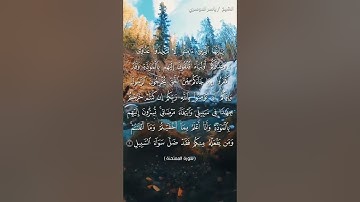 سورة الممتحنة آية 1 بصوت الشيخ ياسر الدوسري♥♥
