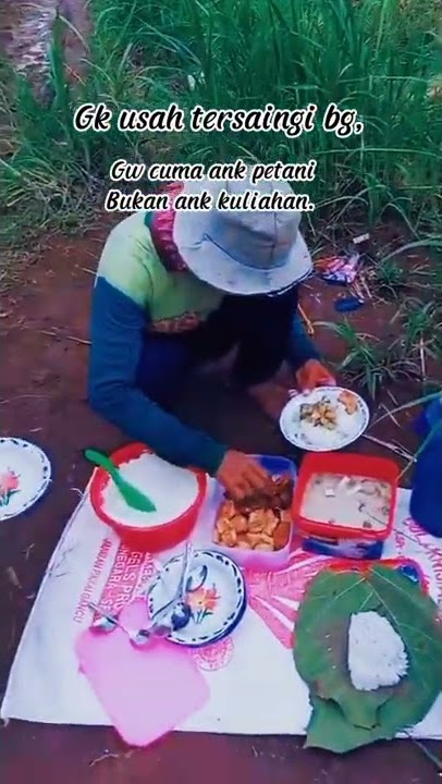 Story wa Petani makan di sawah