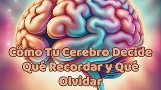 El Misterio Revelado: Cómo Tu Cerebro Decide Qué Recordar y Qué Olvidar