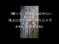 八日目の蝉 The Eighth Day Cicada