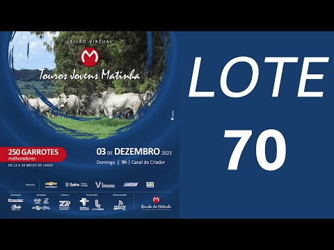 LOTE 70