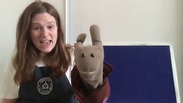 Shapes: A Flannel Board Story with Ms. Mary