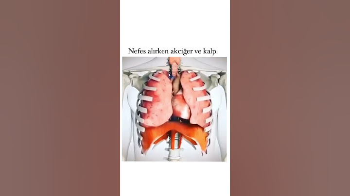 Nefes alırken akciğer ve kalp #insan #ilginç
