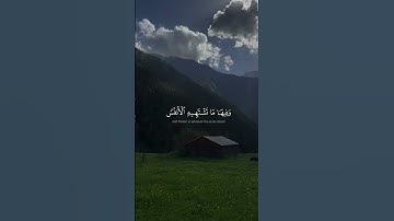 #quran #قران_كريم #ماهر_المعيقلي #تلاوة_خاشعة #قرآن #quran_kareem #راحة_نفسية #اكسبلور #foryou #fypシ