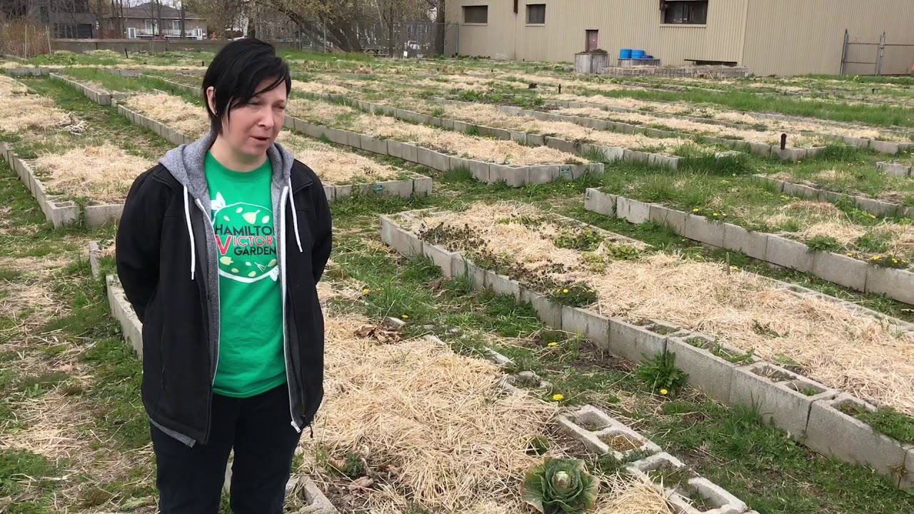 Victory Garden YouTube