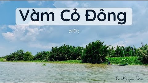 Bài 3: Vàm Cỏ Đông (Viết) - Tiếng Việt 3 - Chân trời sáng tạo [OLM.VN]