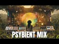 Psybient trip mix  electronic music   downtempo  progressive psytrance  psychill  ambient