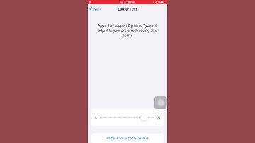 How to customize accessibility settings app by app on iPhone iPad and iPod touch