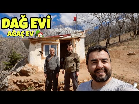 AĞAÇ EVİ PROJESİYLE TEKRARDAN GELDİK - YENİ EVLADIMIZ OLDU HAYIRLI BİR ARA VERDİK YOUTUBE