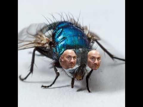 gigamucha – transmisja na żywo