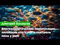 Дмитрий Балашов — Биотехнологические манипуляции половыми клетками и контроль пола у рыб