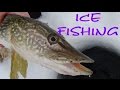 Ice fishing pikeeel bayst lawrence riverfeature channeljoesneon