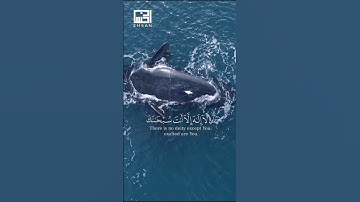 تلاوة جميلة للآيات 87-88 من سورة الأنبياء بصوت الشيخ فارس عباد