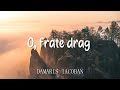 Damaris Iacoban - O frate Drag