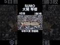 #令和8年#夏場所#琴櫻#序盤戦#sumo#shorts#大相撲