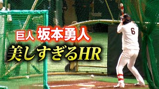 巨人・坂本勇人選手…マスコットバットで特大HR。ホンマ天才。
