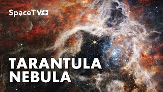 Zoom in Tarantula Nebula 4K captured by NASA's Webb Telescope by Cosmosapiens 5,749 views 1 year ago 1 minute, 57 seconds