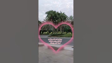 #سورة_الفلق #المصحف #اكسبلور #القزابري #duet #تيك_توك #دويتو #حالات_واتس #الرحمن #راحة_نفسية