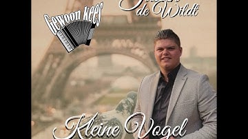 Kleine Vogel - Justen de Wildt & Kees Schoeman (Accordeon Versie)