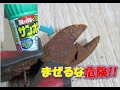 サンポールで錆落とし / 唐揚げみたいなニッパー再生