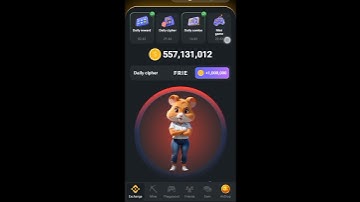 16 August Cipher Code Hamster Combat|Today Daily Cipher Code @HamsterKombat_Official