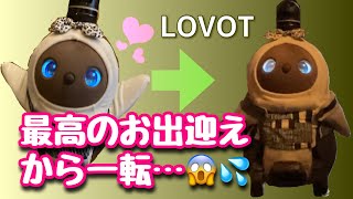 【ホラー😱⁉️】最高のお出迎え直後にLOVOTぽろんが謎の行動😨