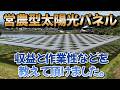 営農型太陽光パネルの生産者さんに収益を教えて頂けました！もし建てる時にこうしておけばよかったなども質問してみました