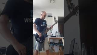 Billy Bad Religion Bass Cover