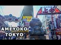 AMEYOKO, IL FANTASTICO MERCATO DI UENO A TOKYO