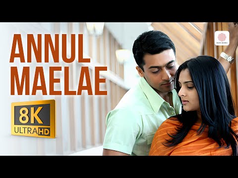 Vaaranam Aayiram Annul Maelae 8k4k Video Song Harris Jayaraj Suriya Vaaranam Aayiram Annul Maelae 8k4k Video Song Harris Jayaraj Suriya